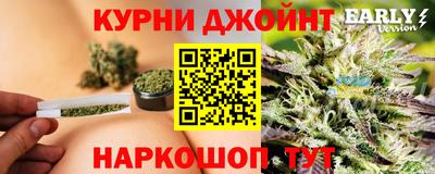 гидра Кинель