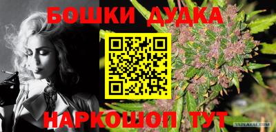 прущая мука Кимры