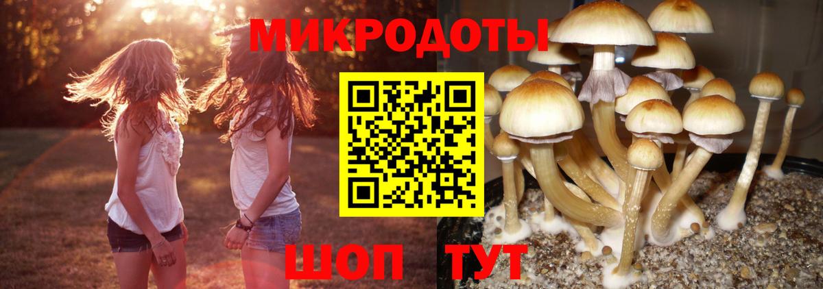 Псилоцибиновые грибы GOLDEN TEACHER Пугачёв